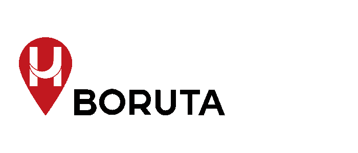 Hotel Boruta***